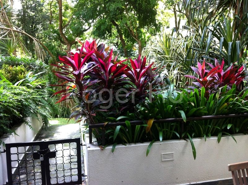 4 Bed Condo for Rent in  The Arcadia - Image 8